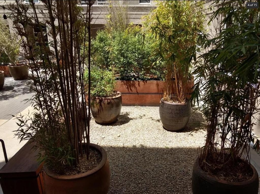 821 Folsom Street - Photo 15