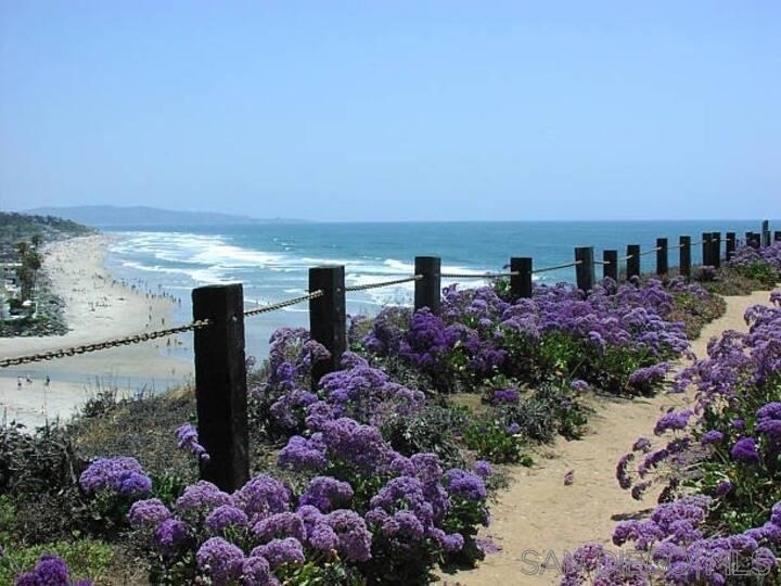 12261 Carmel Vista Rd - Photo 39