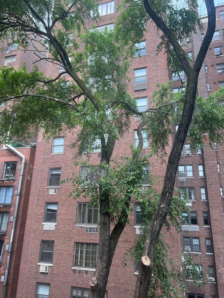 East 85th Street - Photo 9