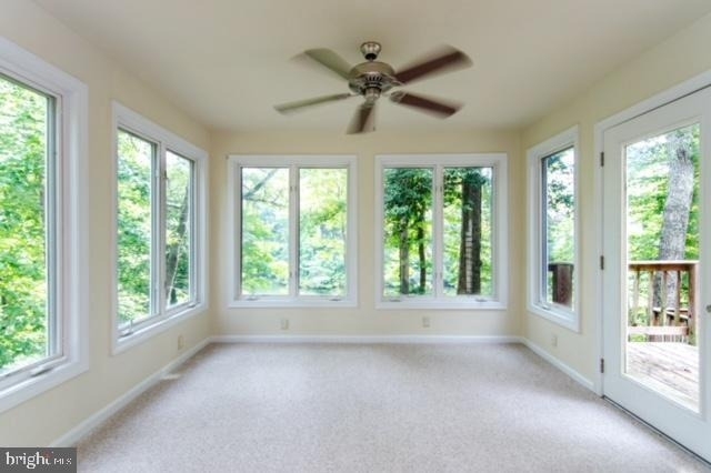 45 Knights Way - Photo 12