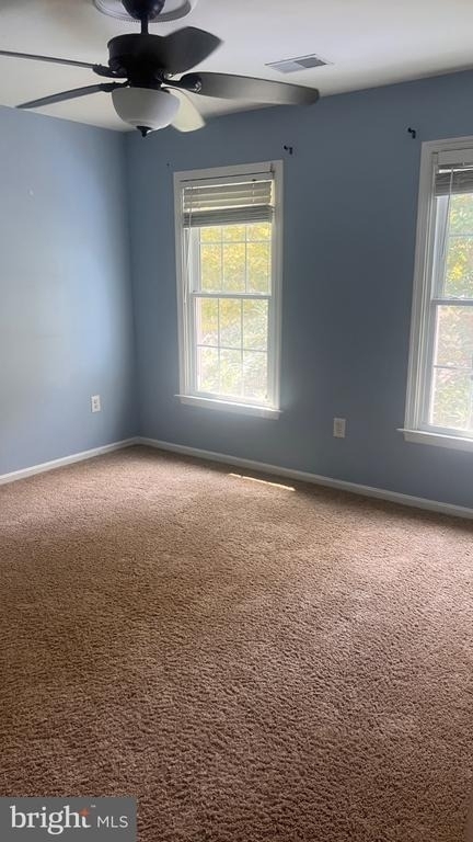 20409 Plainfield Street - Photo 14