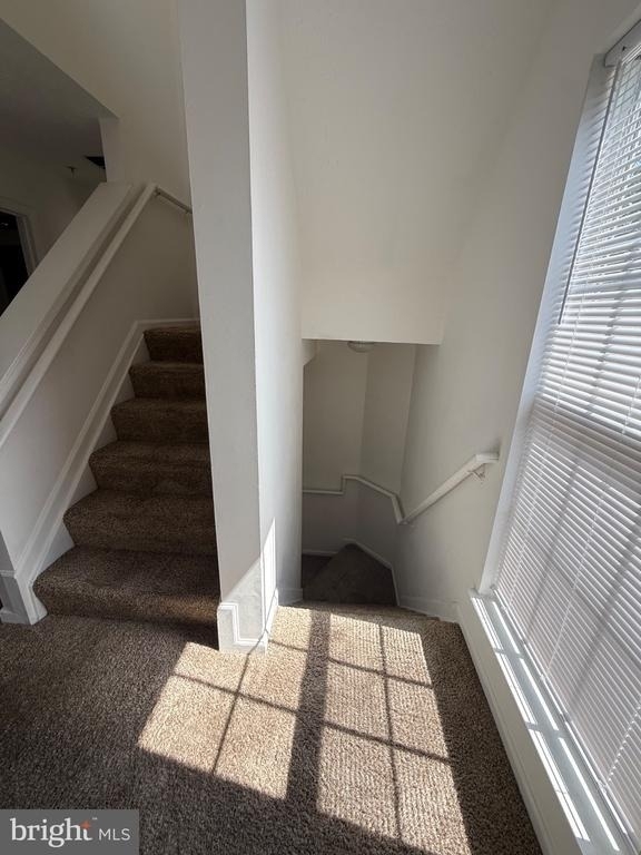 3801 Elmcrest Lane - Photo 11