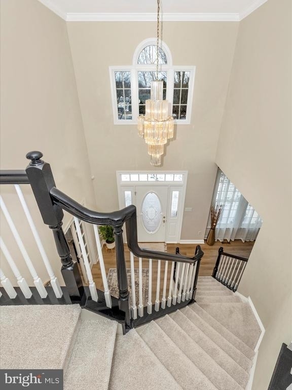 2422 Cobblestone Way - Photo 3