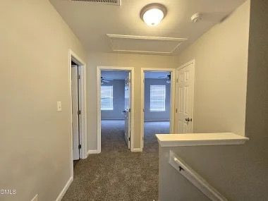 3821 Tyler Bluff Lane - Photo 3