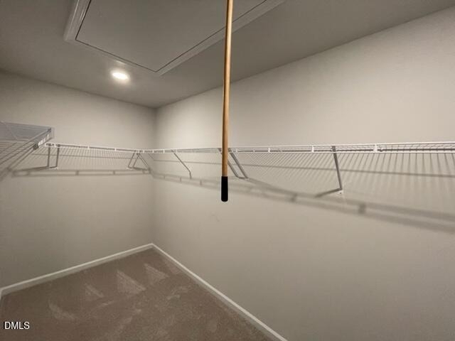 5010 Tura Street - Photo 11