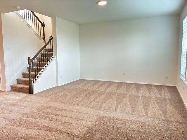 4040 Terracina Dr - Photo 10