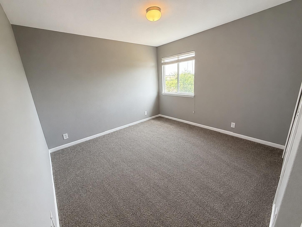 220 Adriana Ln - Photo 6