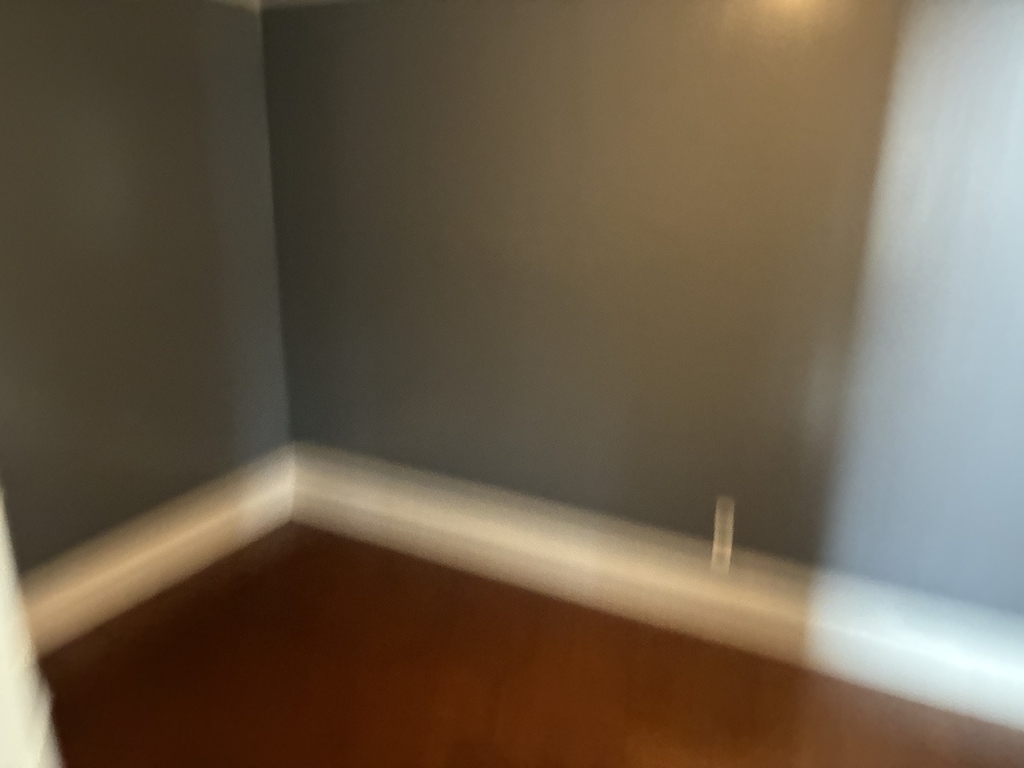 5524 S Paulina Street - Photo 11