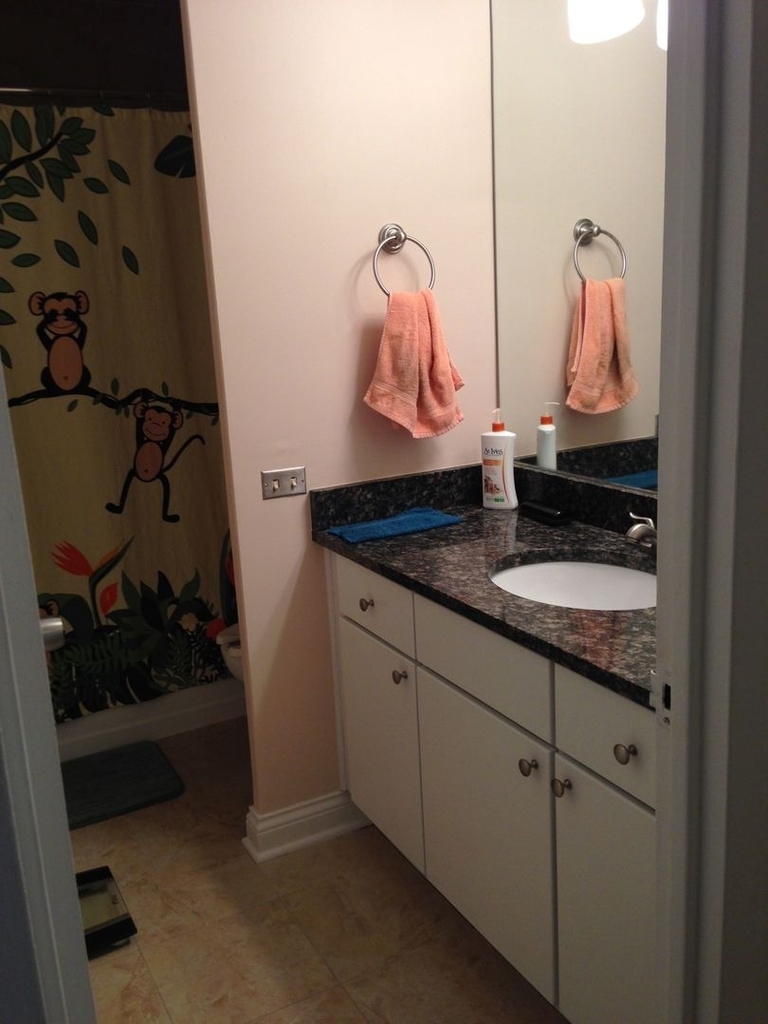 535 N Michigan Avenue - Photo 7