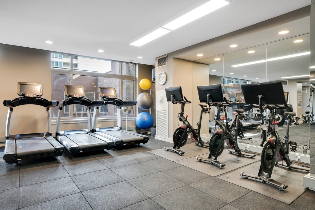 530 N Lake Shore Drive - Photo 33