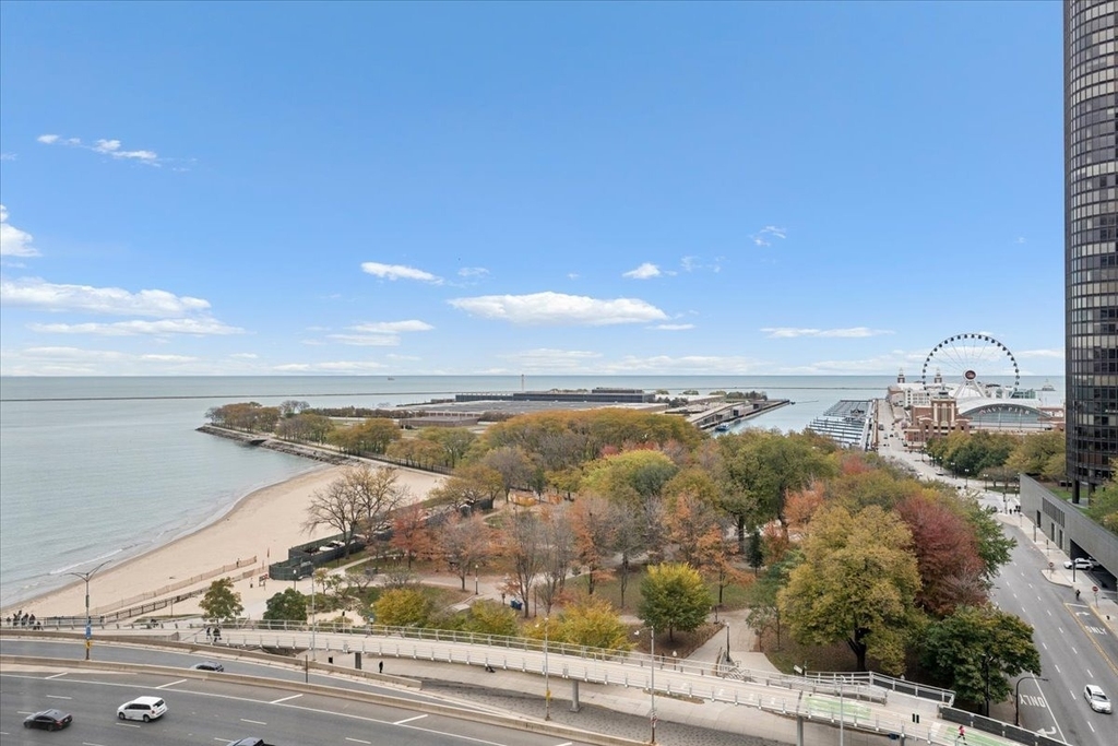 530 N Lake Shore Drive - Photo 11