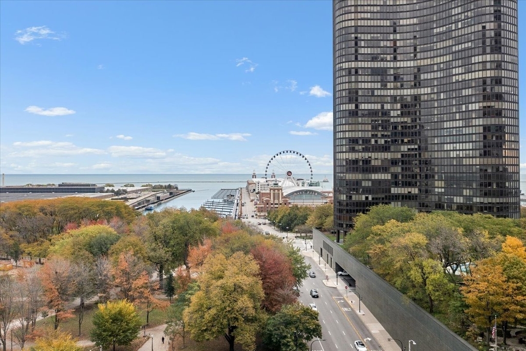 530 N Lake Shore Drive - Photo 12