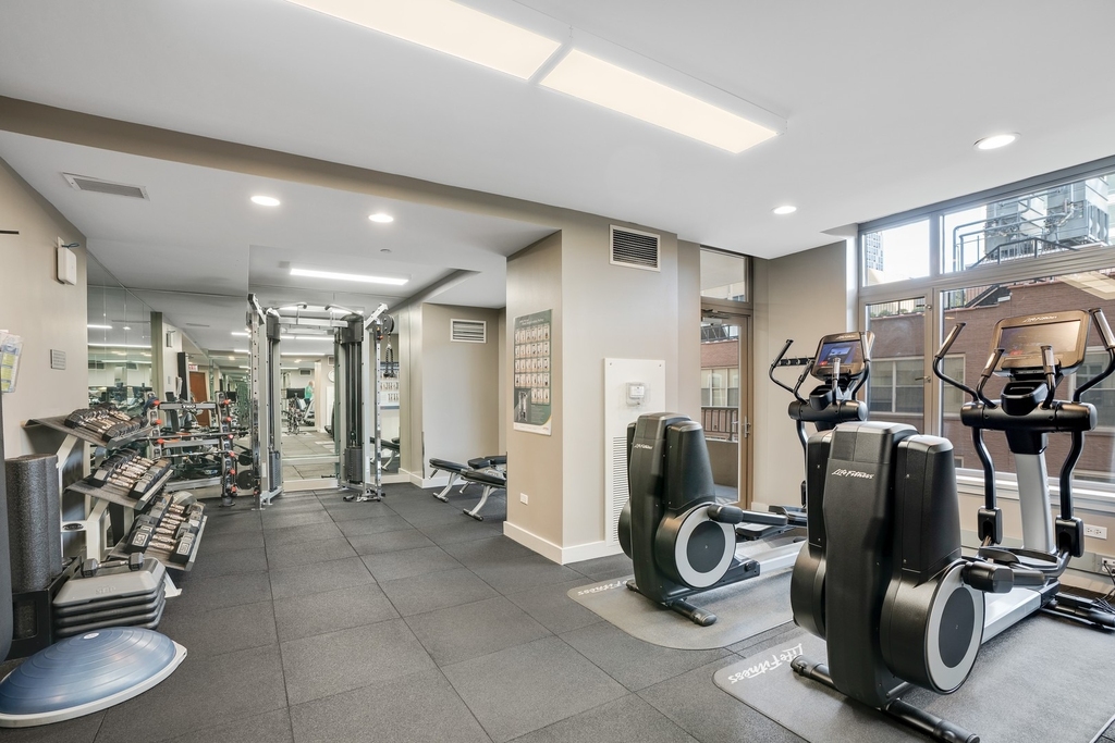 530 N Lake Shore Drive - Photo 34