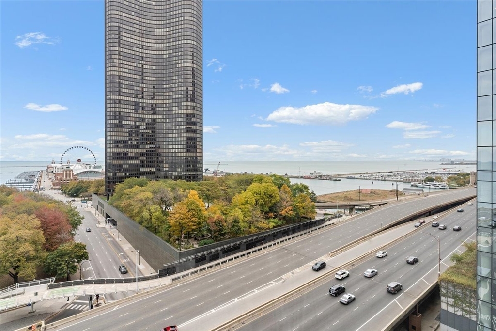 530 N Lake Shore Drive - Photo 13