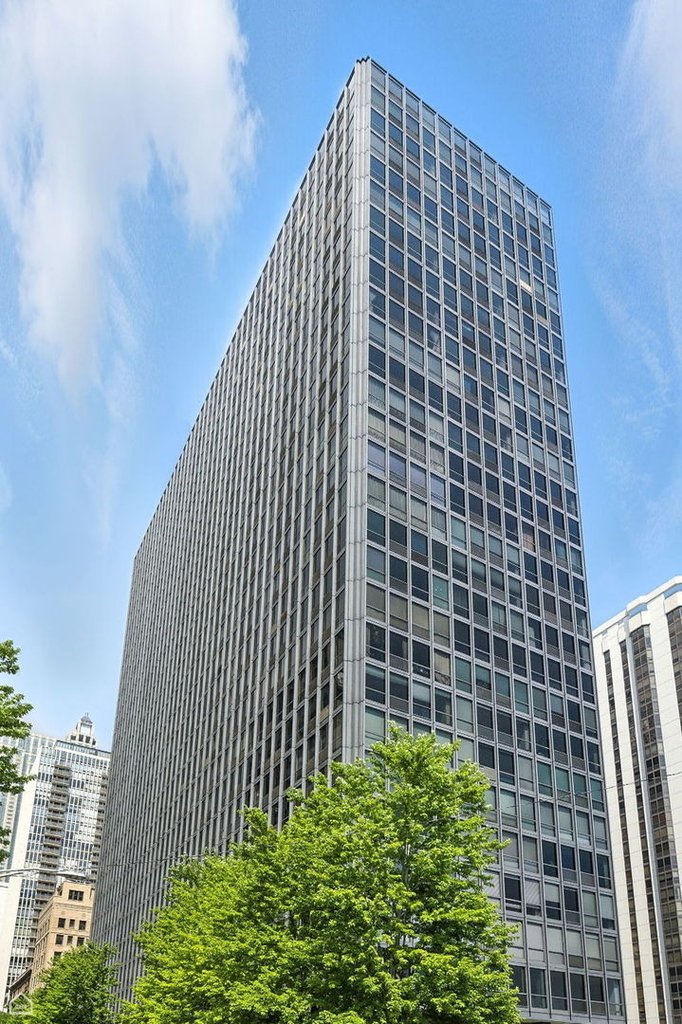 900 N Lake Shore Drive - Photo 11