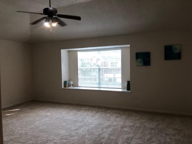 28814 Waltham Street - Photo 19