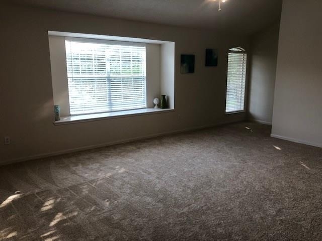 28814 Waltham Street - Photo 20