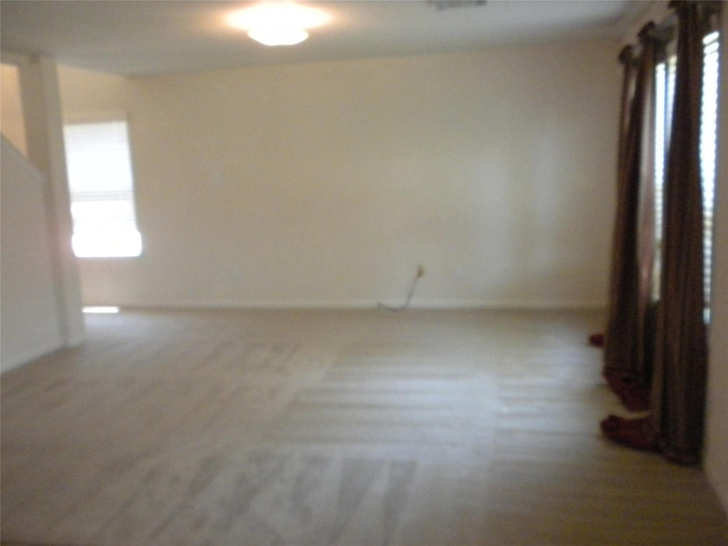 19211 Cedarsham Lane - Photo 4