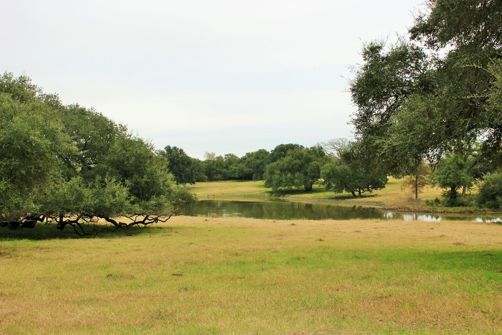 11850 Mccrocklin - Photo 5