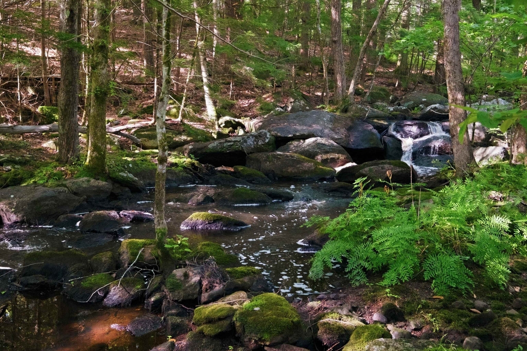 44 Suncook Valley - Photo 49
