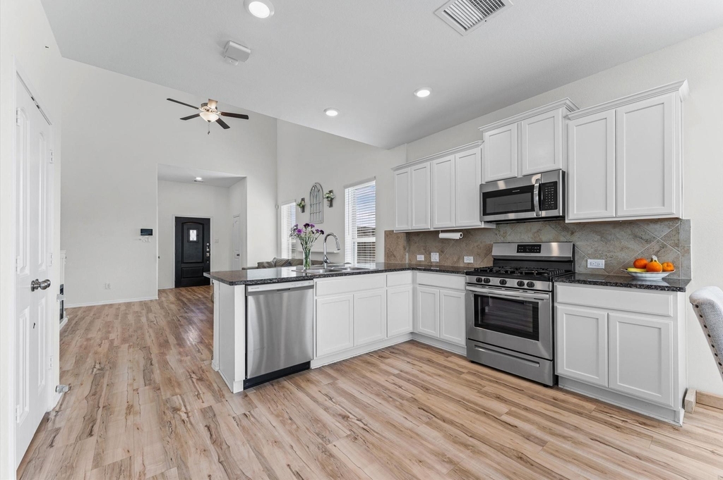 26003 Amber Pearl Drive - Photo 9