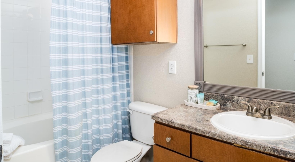 11900 City Park Central Lane - Photo 12