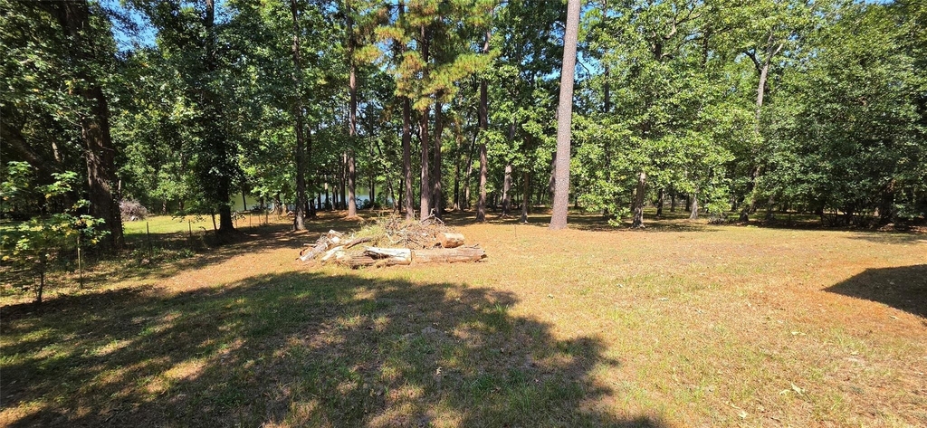 13919 Cecala Drive - Photo 17