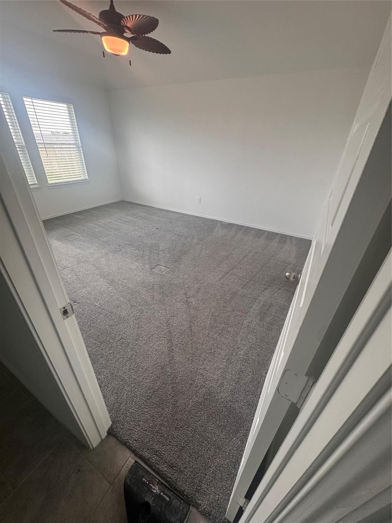 7535 Fierce Friesian Lane - Photo 13