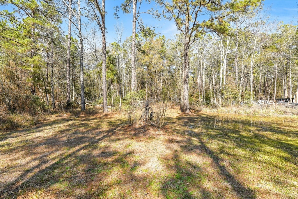 21507 Juliann Alyes - Photo 5