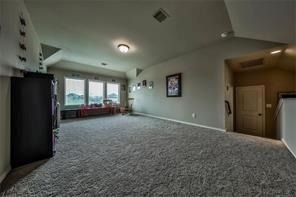 26418 Harmony Mill Court - Photo 14