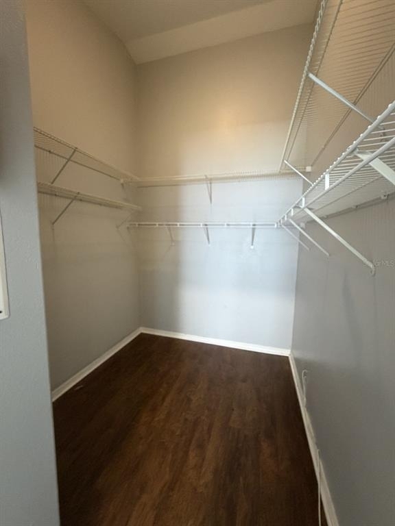 3035 Buckeye Pointe Drive - Photo 12