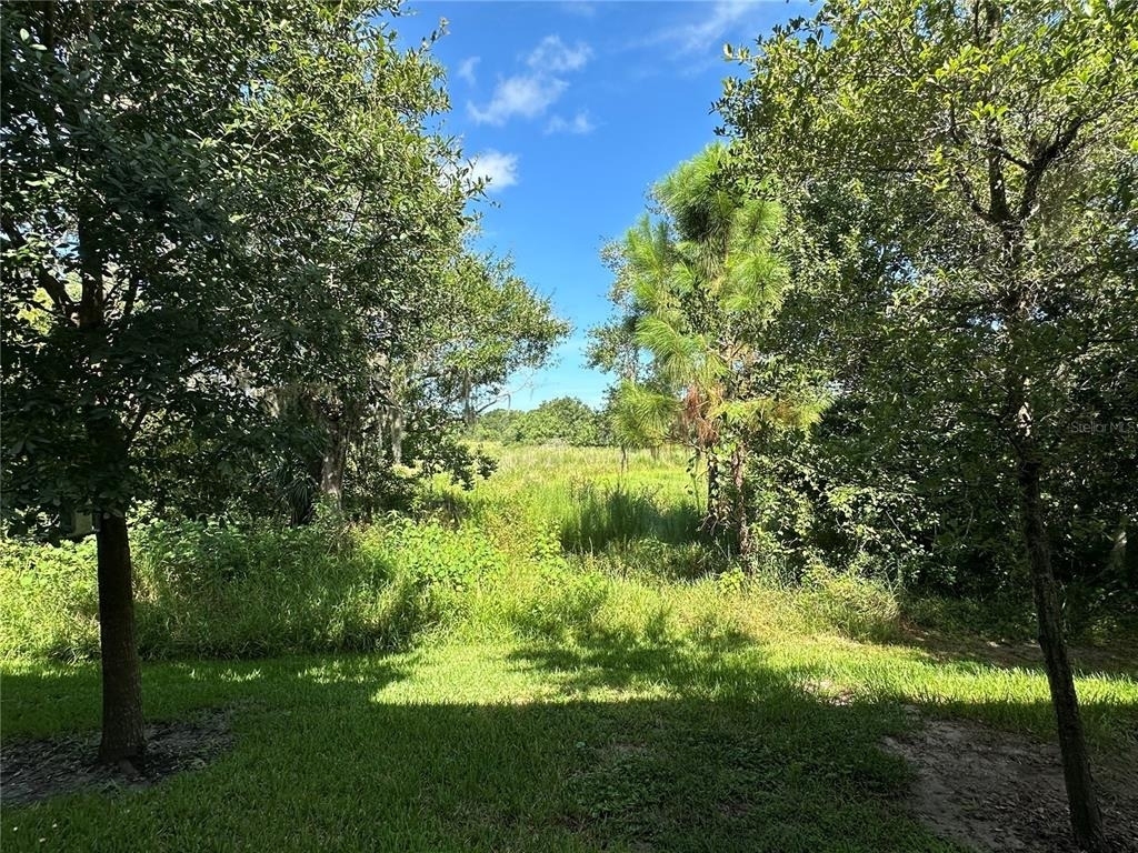 1389 White Fox Run - Photo 15