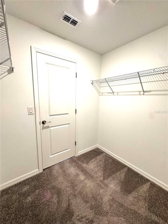 32235 Powderpuff Mimosa Drive - Photo 32