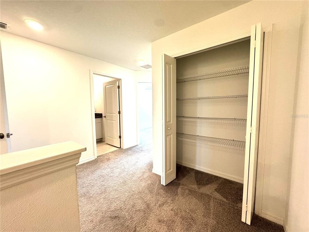 32235 Powderpuff Mimosa Drive - Photo 23