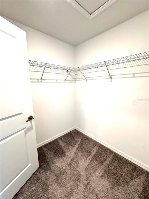 32235 Powderpuff Mimosa Drive - Photo 30
