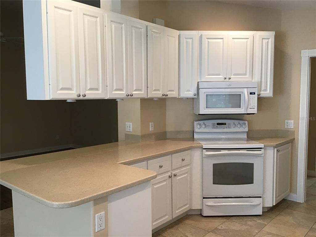 11824 Delfina Lane - Photo 8