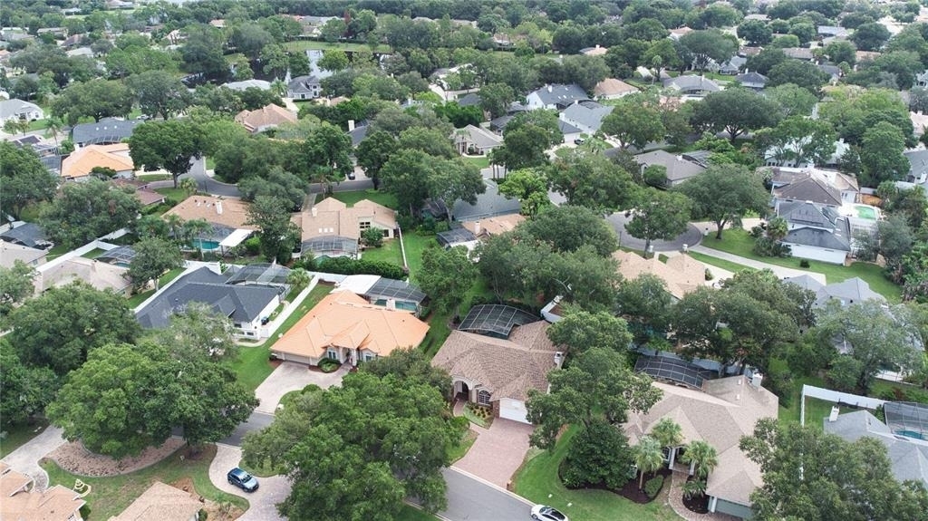 7725 Apple Tree Circle - Photo 3