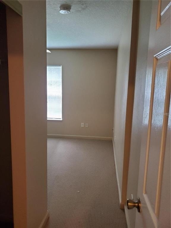 11 Squirrel Place - Photo 5
