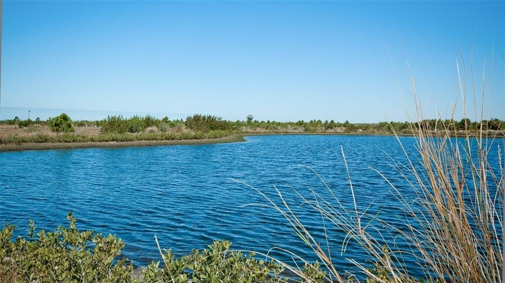 401 Palm Tree Drive - Photo 46