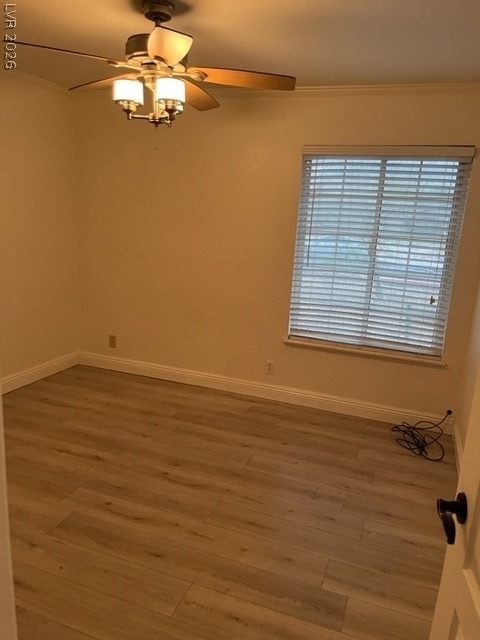 648 Paloma Drive - Photo 11