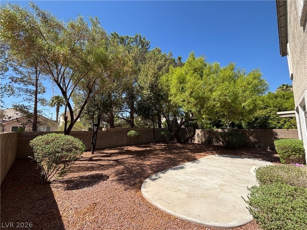 10319 Splendor Ridge Avenue - Photo 4