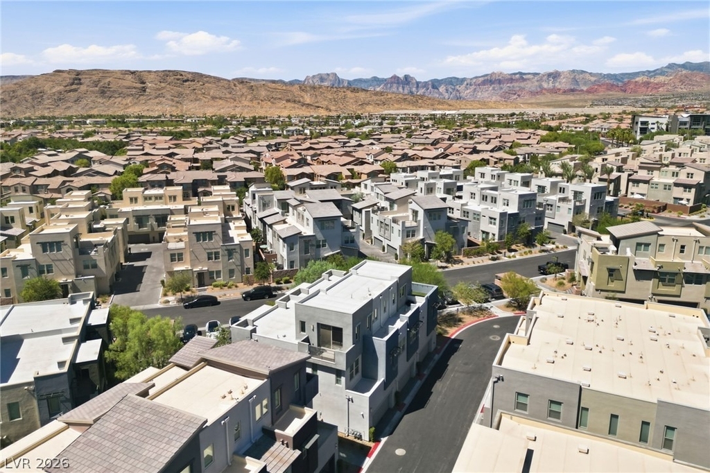 11295 Cactus Tower Avenue - Photo 33