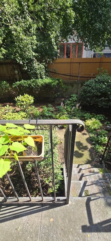 217 East 83rd Street - Photo 1