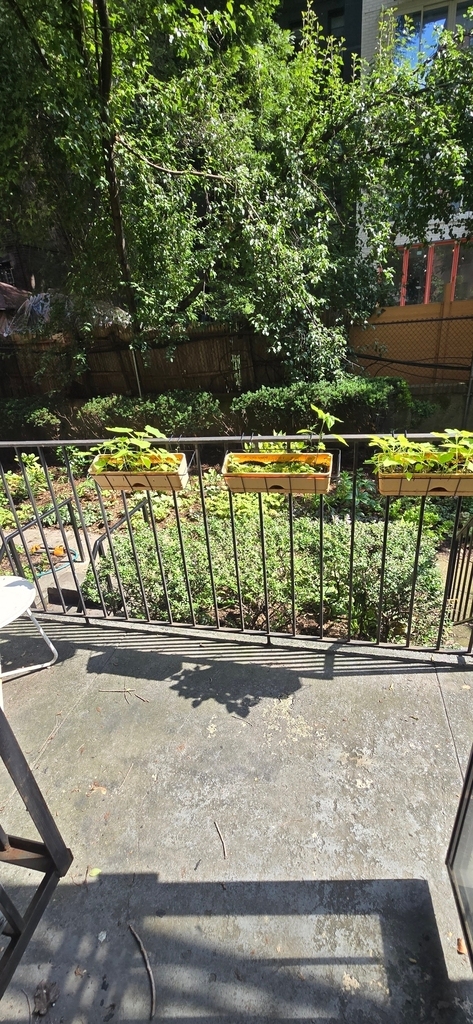 217 East 83rd Street - Photo 0