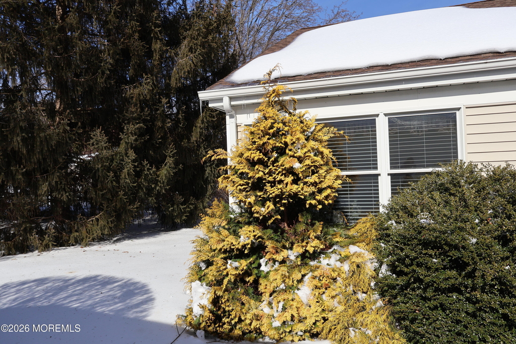 2409 Coral Leaf Road - Photo 24