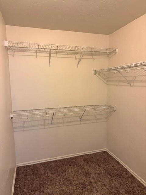 1116 Brandywine Lane - Photo 19
