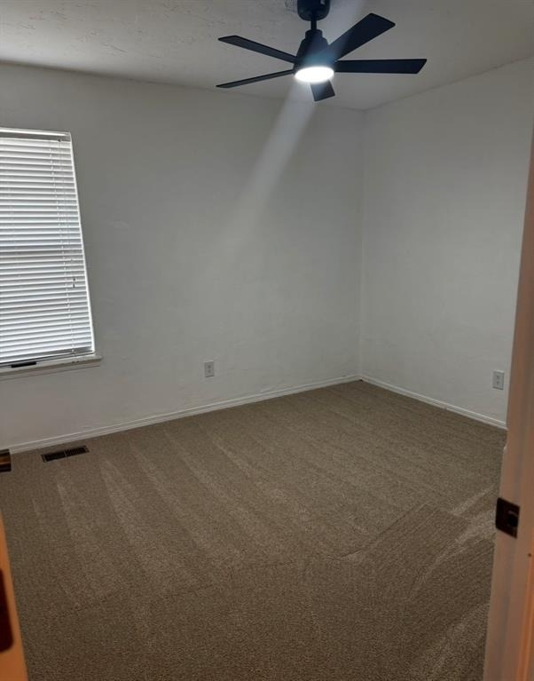 10416 Dover Drive - Photo 17
