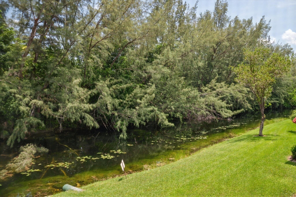 473 Lake Frances Drive - Photo 13