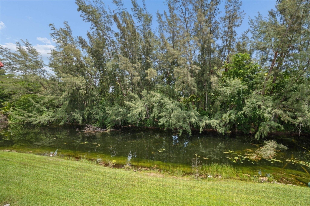 473 Lake Frances Drive - Photo 12
