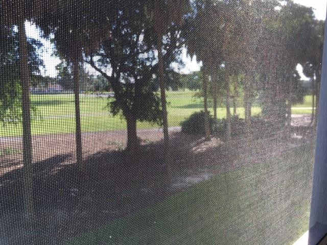 250 Jacaranda Drive - Photo 15